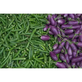Brinjal (14)-2836756-81218.webp